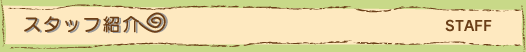 スタッフ紹介